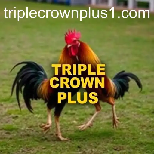Exploring the Dynamics of Triple Crown Plus in Online Sabong